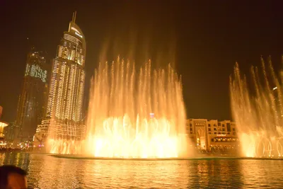 DSC_4152 (Large).JPG